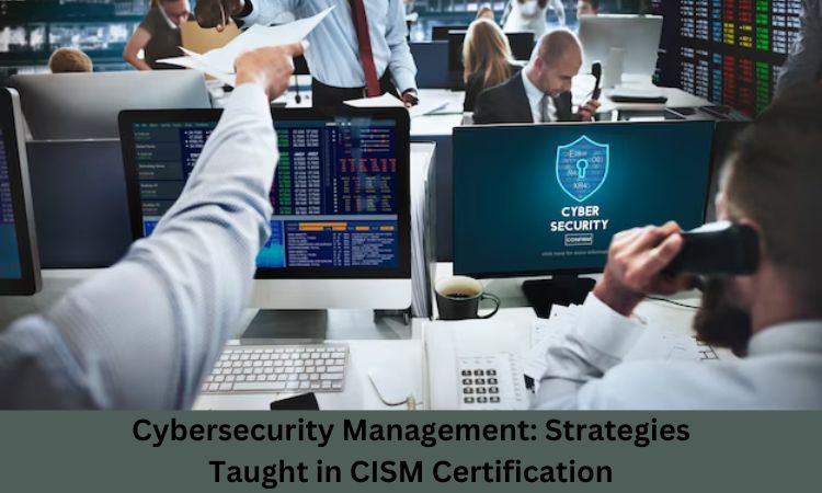 Cybersecurity Management: Strategies Taught in CISM Certification