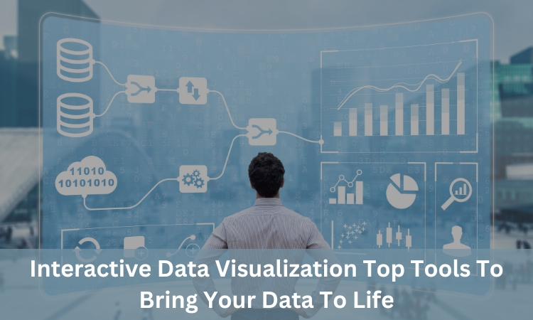 Interactive Data Visualization: Top Tools To Bring Your Data To Life