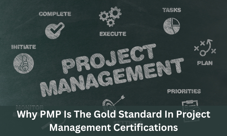 Why PMP Is The Gold Standard In Project Management Certifications