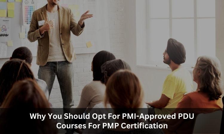 Why You Should Opt for PMI